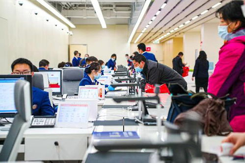 腾笼换鸟 北京南中轴地区首个腾退空间成功转型为政务服务中心，赋能区域财务咨询新生态